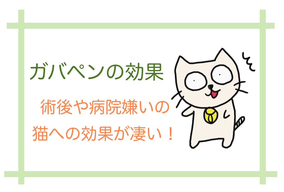 老猫 猫に処方されたガバペンの効き目が凄かった